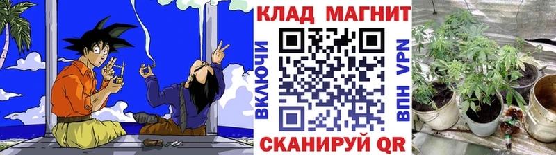 Магазин наркотиков Кирово-Чепецк Конопля  АМФЕТАМИН  Меф  Cocaine  MDMA  Альфа ПВП 