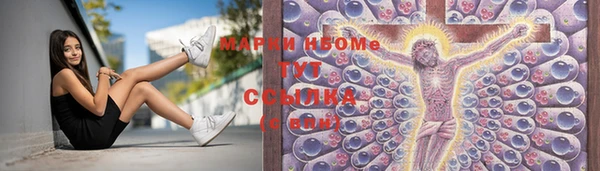 молекула духа Бородино