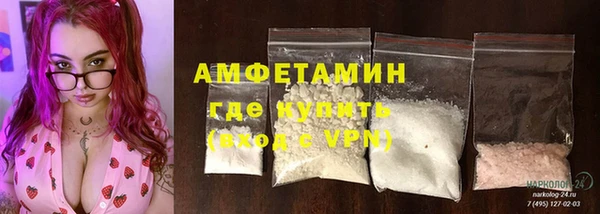 молекула духа Бородино