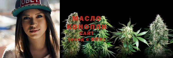 молекула духа Бородино