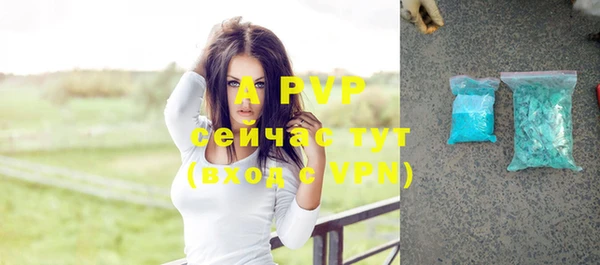 молекула духа Бородино
