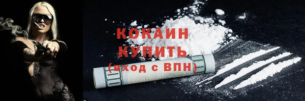 молекула духа Бородино