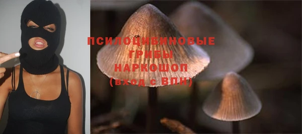 а пвп мука Бронницы
