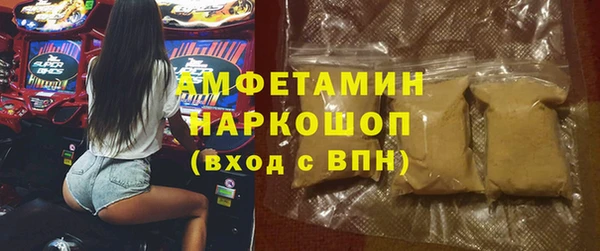 молекула духа Бородино