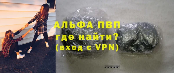молекула духа Бородино