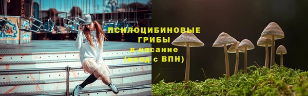 а пвп мука Бронницы