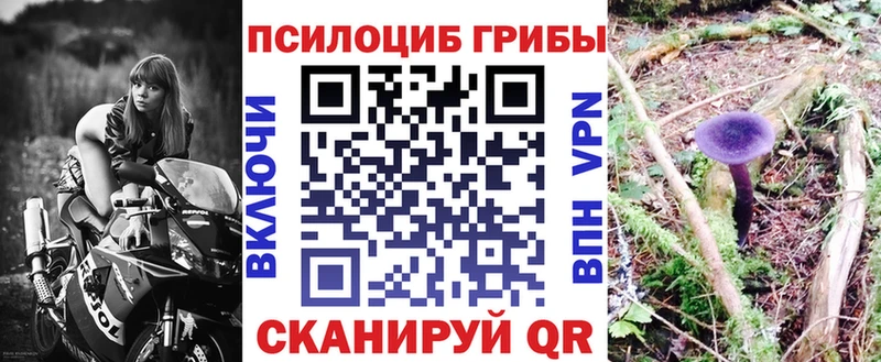 Галлюциногенные грибы прущие грибы  Кирово-Чепецк 